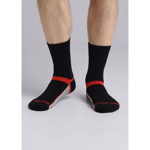 Мужские термо носки Clever Т100Л