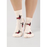 Носки женские Clever(M) Д2563