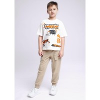 Брюки для мальчика Clever(M) 836038/47у Брюки для мальчика Clever(M) 836038/47у