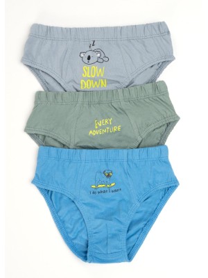 Трусы для мальчика 3 шт. в упаковке Clever(M) BC5496
