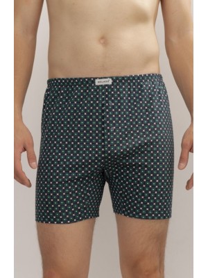 Трусы мужские боксеры Melado(M) 1911M-40894.1L-064